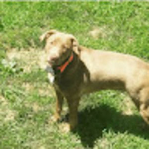 Meet your Posher, Ashleigh